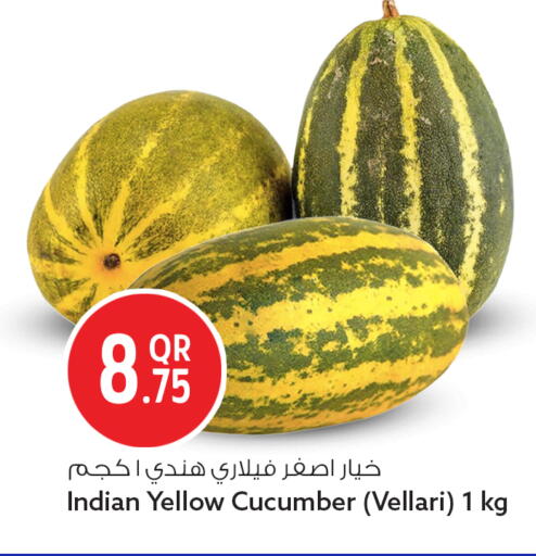 Cucumber from India available at Safari Hypermarket in Qatar - Al Rayyan
