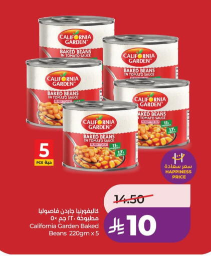 Tomato available at LULU Hypermarket in KSA, Saudi Arabia, Saudi - Al-Kharj