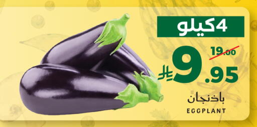 Eggplant available at ميرا مارت مول in مملكة العربية السعودية, السعودية, سعودية - جدة