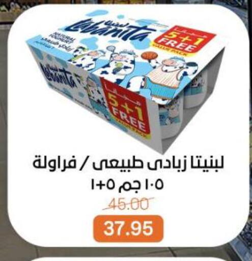 available at بيت الجملة in Egypt - القاهرة