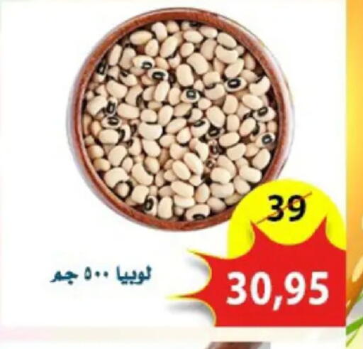 available at اسواق البدر in Egypt - القاهرة