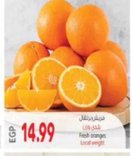 available at New.Penny.market in Egypt - Cairo