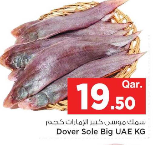 available at مارك & سيف in قطر - الريان