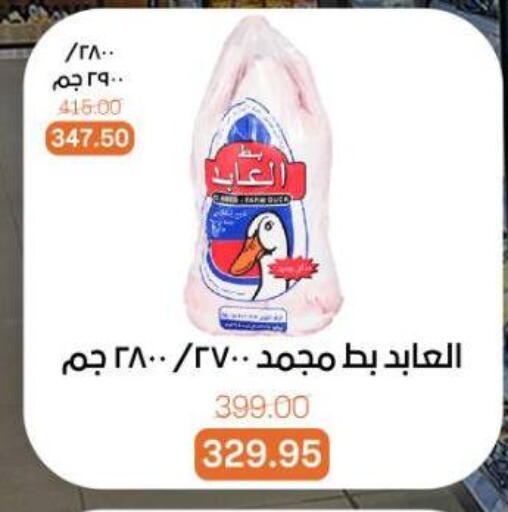 available at Beit El Gomla in Egypt - Cairo