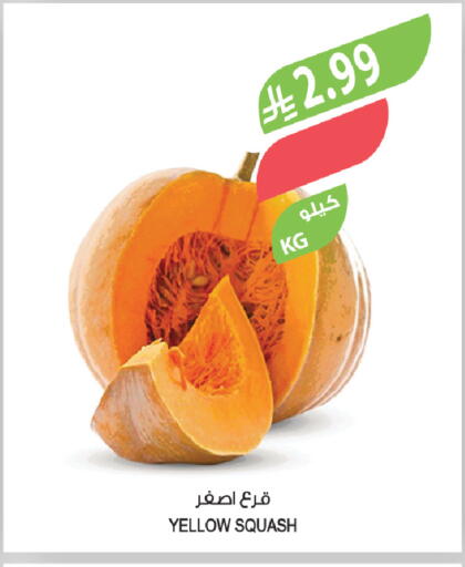 Squash available at Farm  in KSA, Saudi Arabia, Saudi - Al Khobar