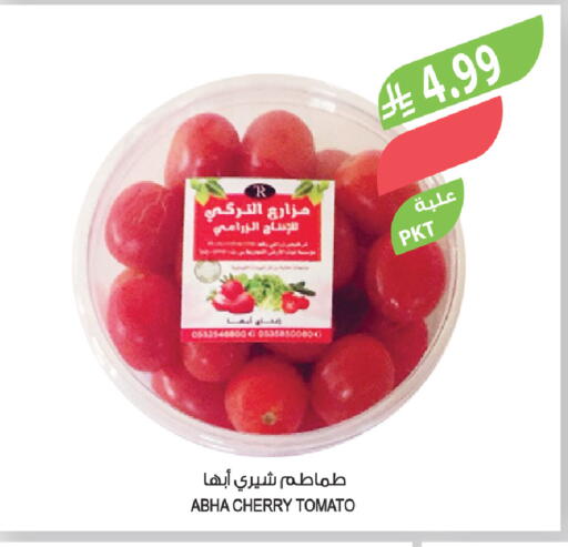 Cherry Cherry tomato available at المزرعة in مملكة العربية السعودية, السعودية, سعودية - تبوك