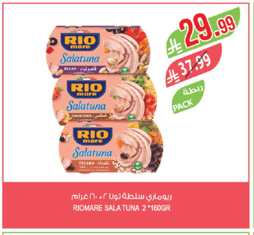 Pepper available at المزرعة in مملكة العربية السعودية, السعودية, سعودية - تبوك