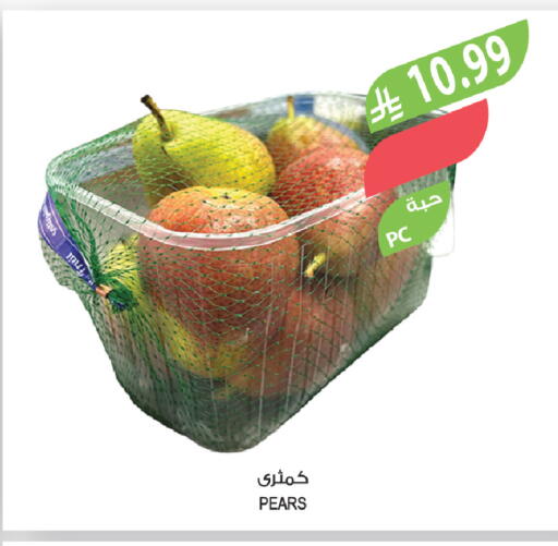 available at المزرعة in مملكة العربية السعودية, السعودية, سعودية - تبوك