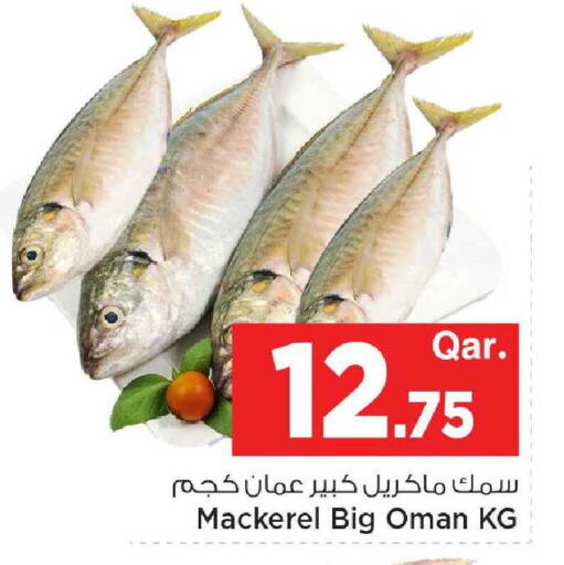 available at مارك & سيف in قطر - الريان