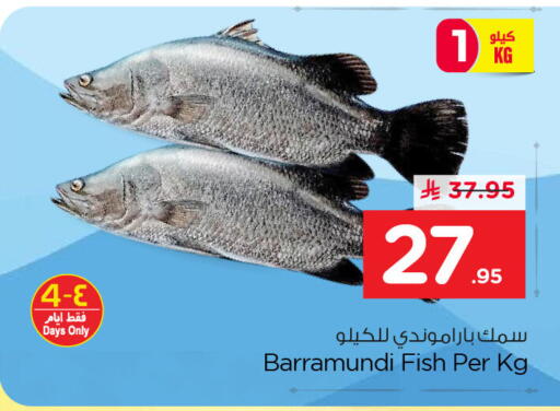 available at نستو in مملكة العربية السعودية, السعودية, سعودية - الخبر‎