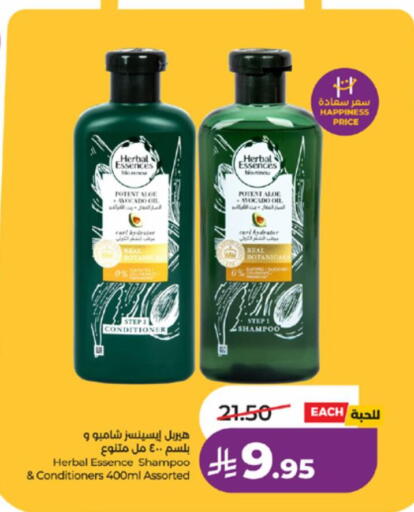 Avocado available at LULU Hypermarket in KSA, Saudi Arabia, Saudi - Khamis Mushait