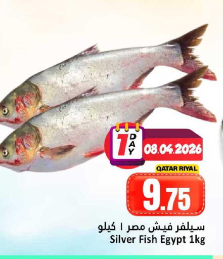 available at دانة هايبرماركت in قطر - الوكرة
