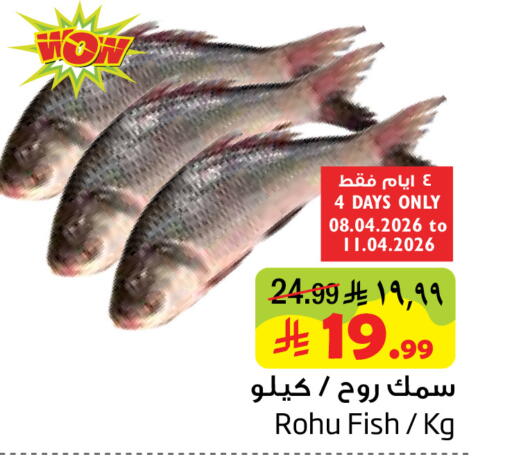 available at Layan Hyper in KSA, Saudi Arabia, Saudi - Dammam