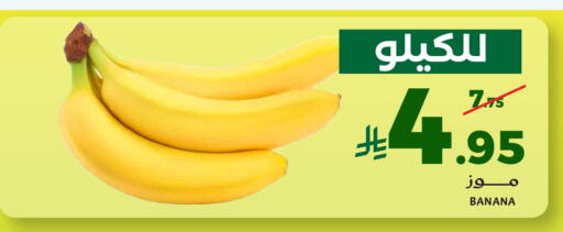 Banana available at ميرا مارت مول in مملكة العربية السعودية, السعودية, سعودية - جدة