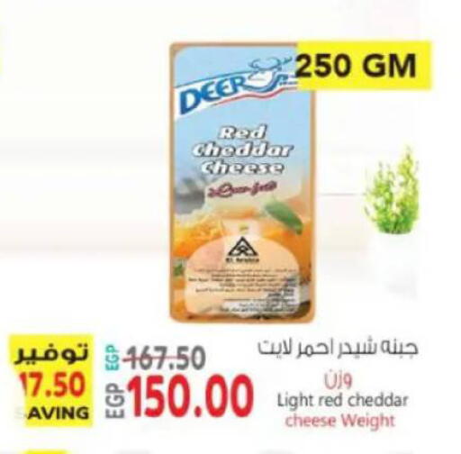 available at New.Penny.market in Egypt - Cairo