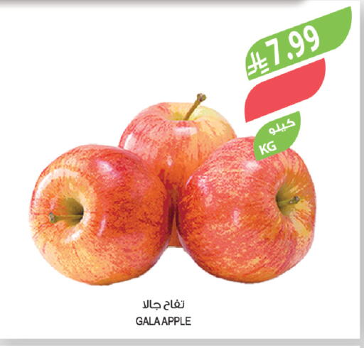 Apple available at المزرعة in مملكة العربية السعودية, السعودية, سعودية - تبوك