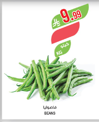 available at Farm  in KSA, Saudi Arabia, Saudi - Al Khobar