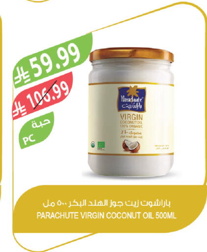 Coconut available at Farm  in KSA, Saudi Arabia, Saudi - Saihat