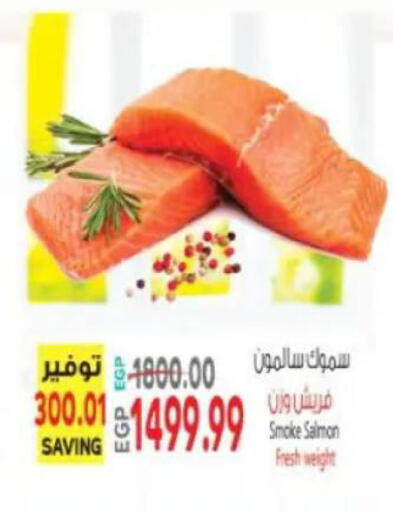 available at New.Penny.market in Egypt - Cairo