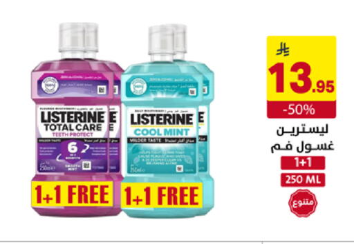 Mint available at Ala Kaifak in KSA, Saudi Arabia, Saudi - Sakaka