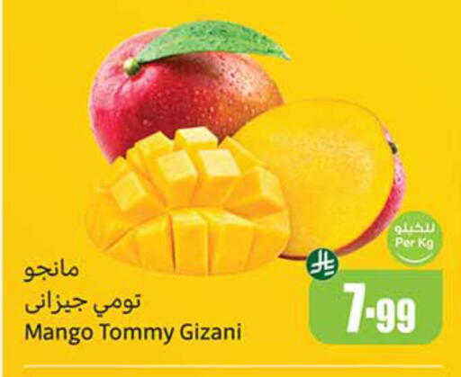Mango available at Othaim Markets in KSA, Saudi Arabia, Saudi - Medina