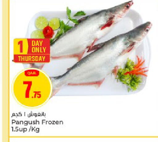 available at باريس هايبرماركت in قطر - الخور