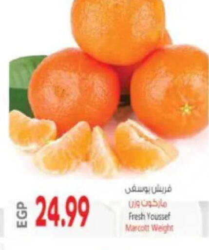 available at New.Penny.market in Egypt - Cairo