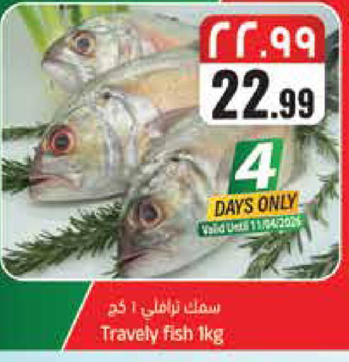 available at ستي فلاور in مملكة العربية السعودية, السعودية, سعودية - سكاكا