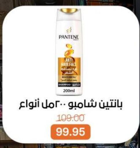 available at Beit El Gomla in Egypt - Cairo