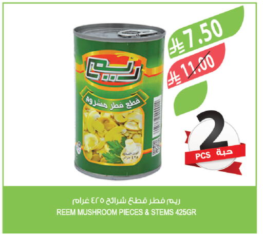 Mushroom available at المزرعة in مملكة العربية السعودية, السعودية, سعودية - نجران