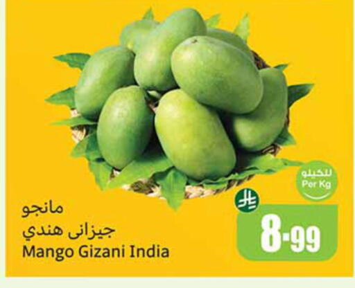 Mango from India available at Othaim Markets in KSA, Saudi Arabia, Saudi - Medina