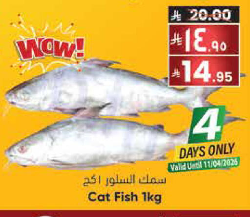 available at ستي فلاور in مملكة العربية السعودية, السعودية, سعودية - حائل‎