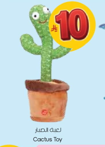 available at ستي فلاور in مملكة العربية السعودية, السعودية, سعودية - نجران