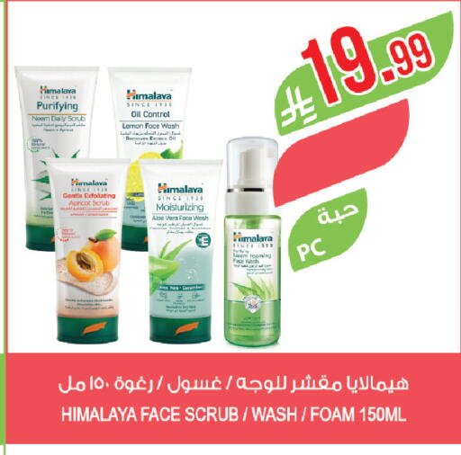 Lemon Apricot available at Farm  in KSA, Saudi Arabia, Saudi - Jubail