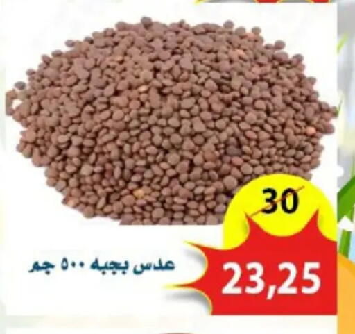 available at اسواق البدر in Egypt - القاهرة