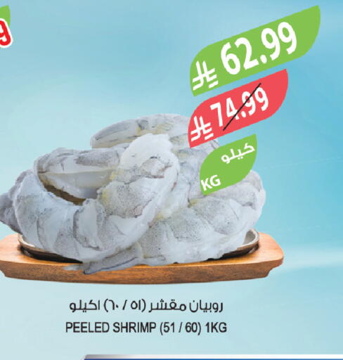 available at المزرعة in مملكة العربية السعودية, السعودية, سعودية - الباحة