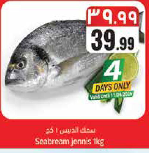 available at ستي فلاور in مملكة العربية السعودية, السعودية, سعودية - سكاكا