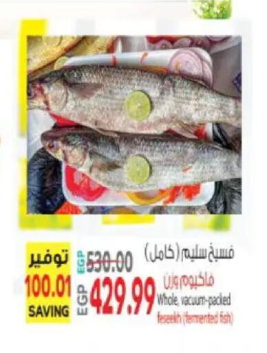 available at El.Husseini supermarket  in Egypt - Cairo