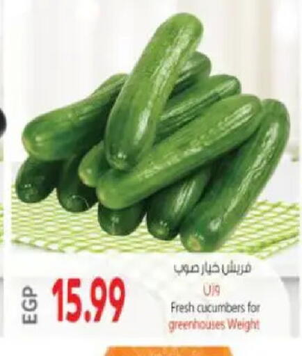 available at سوبر ماركت الحسينى in Egypt - القاهرة