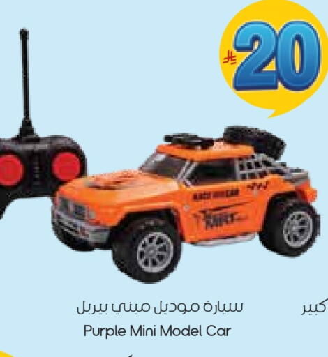 available at ستي فلاور in مملكة العربية السعودية, السعودية, سعودية - نجران