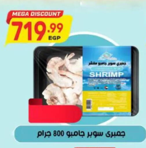 available at New.Penny.market in Egypt - Cairo