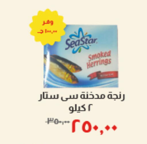 available at خير زمان in Egypt - القاهرة