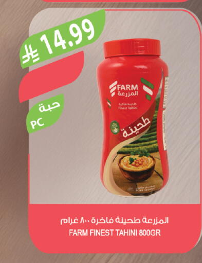 Sesame available at Farm  in KSA, Saudi Arabia, Saudi - Al-Kharj