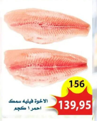 available at Aswaq Albader in Egypt - Cairo