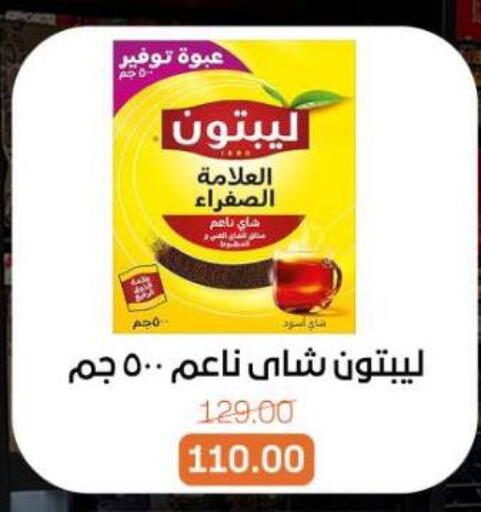 available at بيت الجملة in Egypt - القاهرة