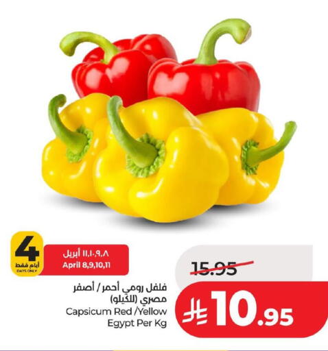 Capsicum from Egypt available at لولو هايبرماركت in مملكة العربية السعودية, السعودية, سعودية - حفر الباطن