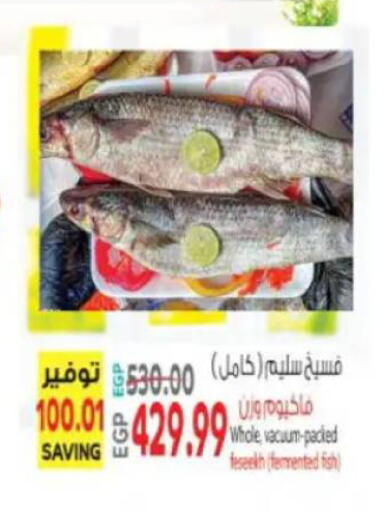 available at New.Penny.market in Egypt - Cairo