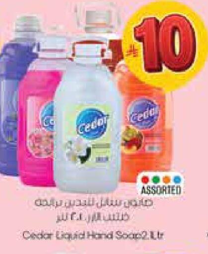 available at City Flower in KSA, Saudi Arabia, Saudi - Hail