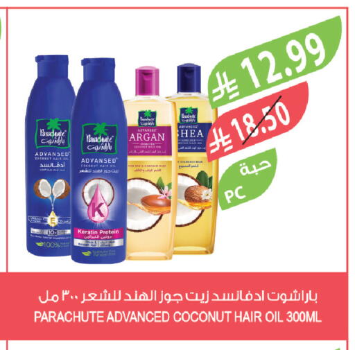 Coconut available at Farm  in KSA, Saudi Arabia, Saudi - Al Hasa