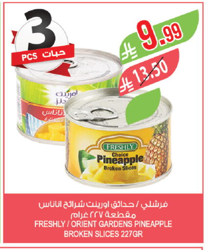 Pineapple available at Farm  in KSA, Saudi Arabia, Saudi - Saihat